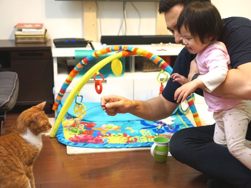 「猫じゃらしで、こうやって遊ぶんだよ」