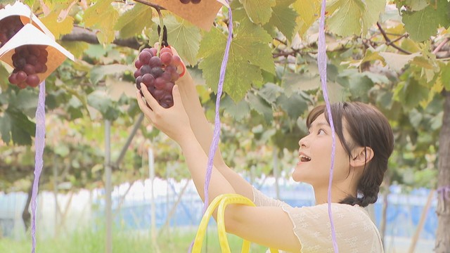岡山市や倉敷市などが台湾のインフルエンサーを招待