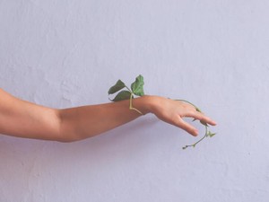 結婚しても離婚しても名前が変わらなかった私の、ないものねだり