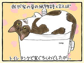 テレビ裏に潜む愛猫「ちくわ」　隠れている風でも、しっぽ丸見えのアホ可愛さが愛しい