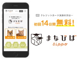犬や猫に必要なこと、14日間無料でお試し　動画の「まなびばsippo」