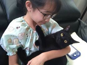 念願の猫との暮らしを始めた家族　ポーランド人の母親が出会った「懐かしい」黒猫