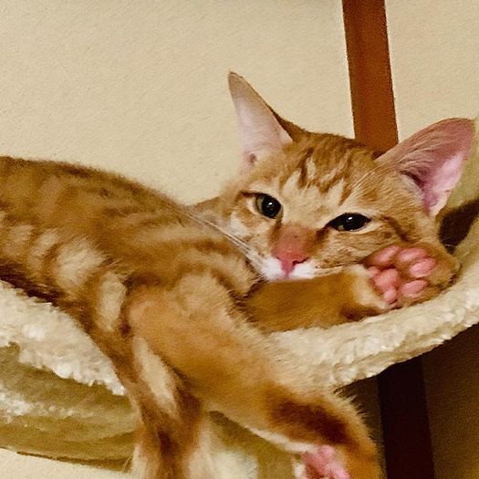 いっぱい遊んで、まったり