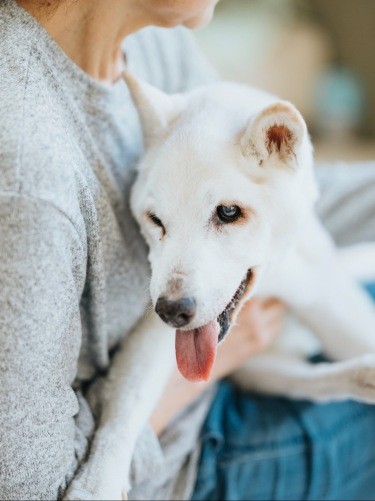 亡くなる半年くらい前、幸子さんに抱っこされているおここちゃん（写真提供：幸子さん）