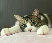 今日もあつ〜い