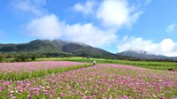 提供：蒜山観光協会