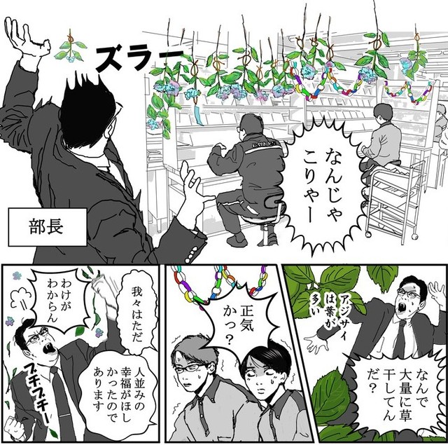 気づけば紫陽花守りだらけに（送達ねこさん提供）