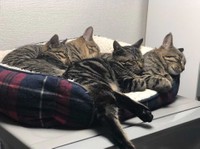 寝る時もシンクロしてる？