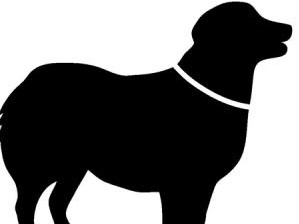 踏切内に犬…！　外に出そうとして列車に接触、飼い主と犬が死亡