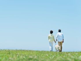 自分の財産を未来の動物たちのために役立てる　「遺贈寄付」という選択