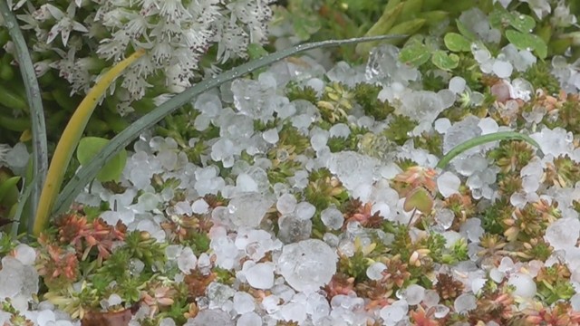 地面に積もったひょう　岡山県津山市　25日午後2時ごろ