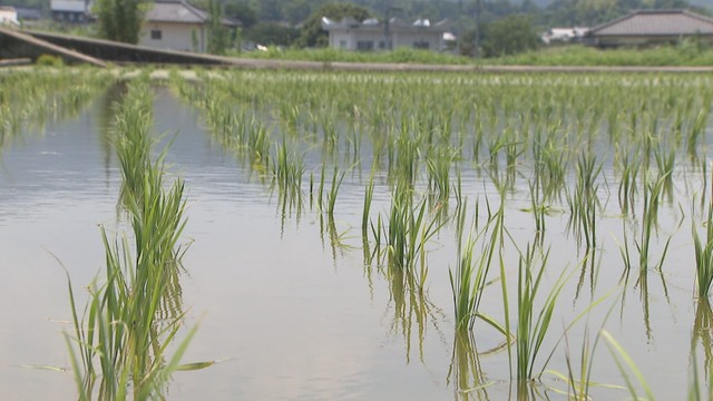 高松市東植田町