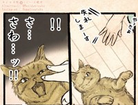 いざ触ろうとしてみると…（うぐいす歌子さん提供）