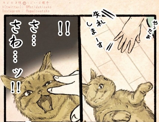 いざ触ろうとしてみると…（うぐいす歌子さん提供）