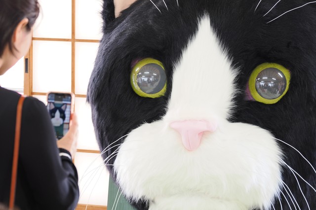 記念写真を撮る人続出。ピンク色の鼻がチャームポイント