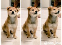 麦くん、赤ちゃんの頃の姿　画像提供／犬さん