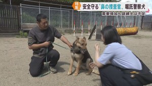 事件捜査や行方不明者捜索に活躍する警察犬　育成し出動する訓練士の減少が課題に