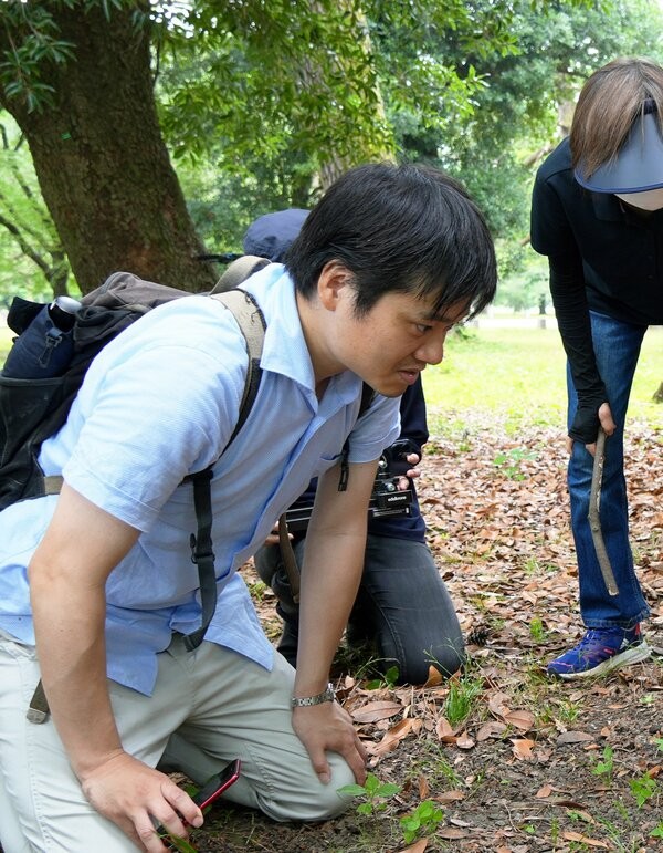 キノコを真剣な表情で観察する北出雄生さん（６月２２日、京都御苑）