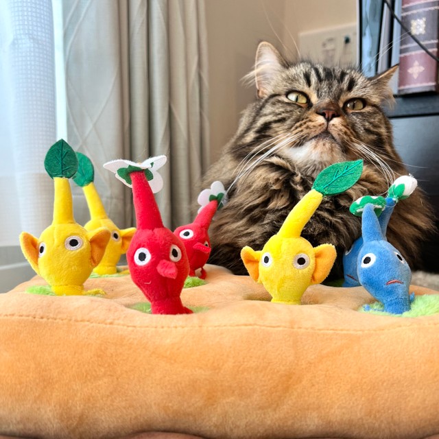 子分従えてドヤ顔かな