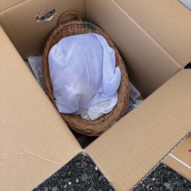 段ボール箱を開けてみると、洗濯網に入ったまま三毛猫がいた(「tormenta」さん提供)