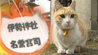 2月22日は「猫の日」岡山市にネコが宮司の神社があった！
