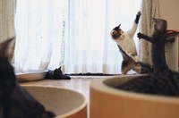 「縦がこれくらいで…横がこれくらいだった！」（画像提供：縦横幅さん）