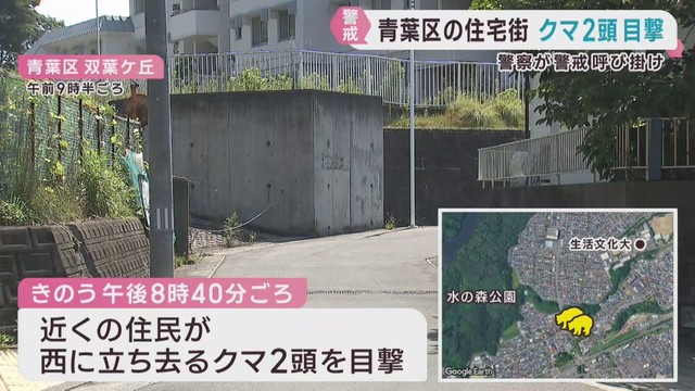 クマ２頭を目撃　警察が警戒を強める　仙台・青葉区