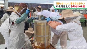 糖度が高いはちみつを収穫　宮城・富谷市の新たな特産品