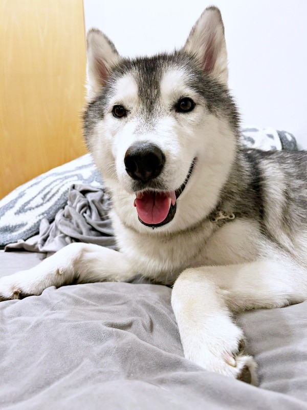 にっこり笑顔がかわいらしいはるくん（画像提供：motoさん）