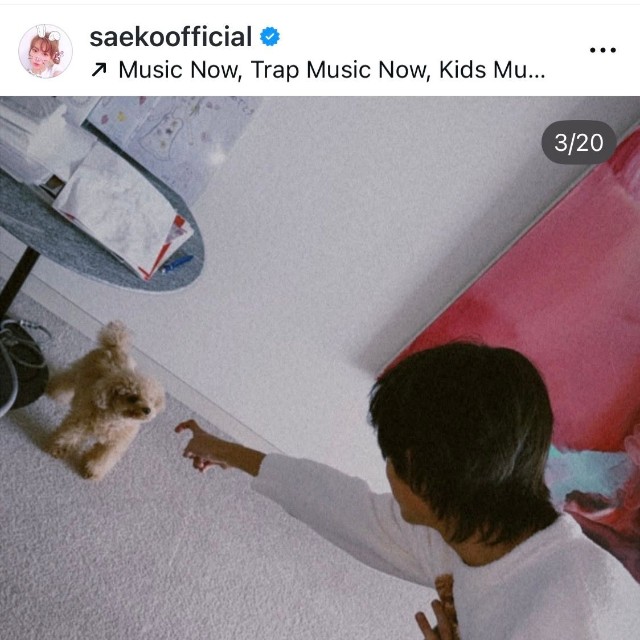 （紗栄子公式インスタグラムより）