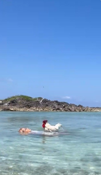 海にも一緒に（ぴあやのさん提供）