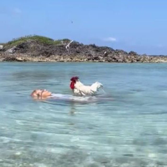 海にも一緒に（ぴあやのさん提供）
