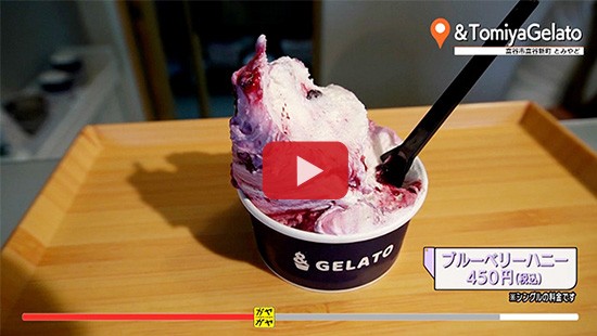 #545&TomiyaGelato①