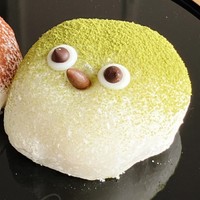 こちらが「メジロ大福」、トボけた表情がキュート！（画像提供：サッサさん ※画像を一部トリミング）