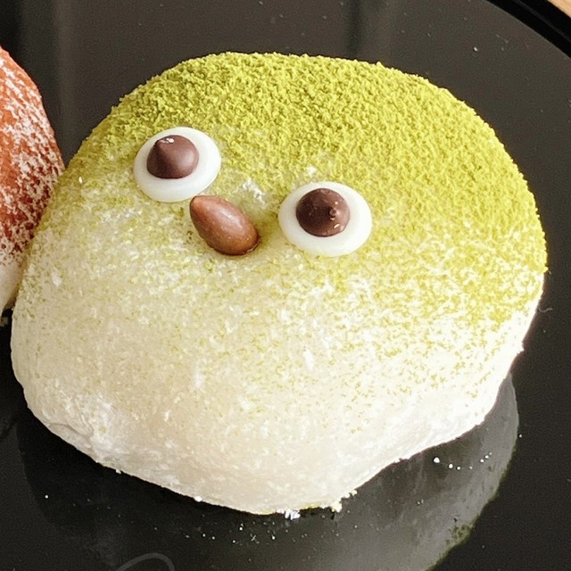 こちらが「メジロ大福」、トボけた表情がキュート！（画像提供：サッサさん ※画像を一部トリミング）