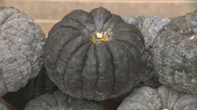 「備前黒皮かぼちゃ」を新たに地理的表示（GI）として登録　岡山県では2例目　農林水産省