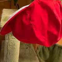 夫が干した赤白帽子に発狂しそう…／藁にもすがるクッカさん（@Orlando_Orlind）提供＝画像を一部トリミングしています

