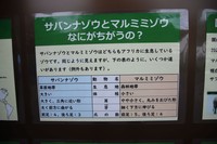 どんなところが違うのか紹介する掲示もあります（2025.10撮影）