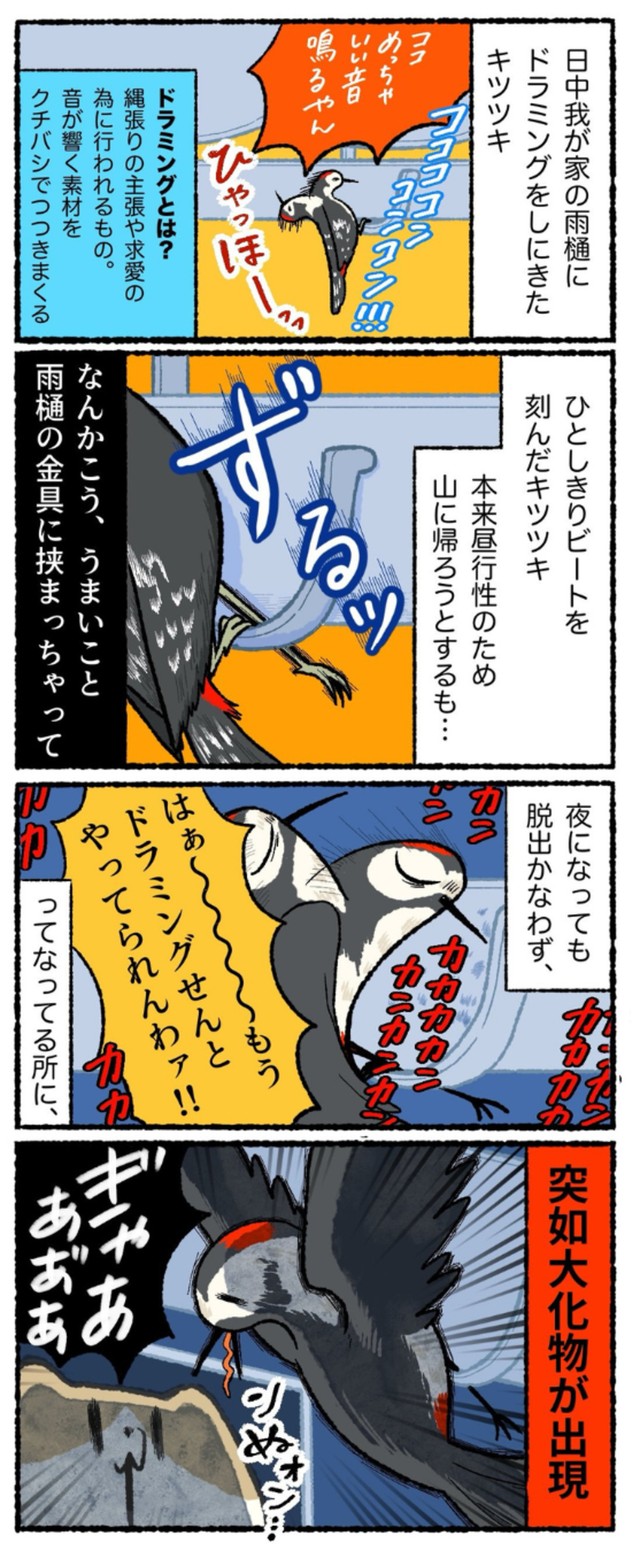 【漫画】『怪音の正体』14（ゆうさん提供）