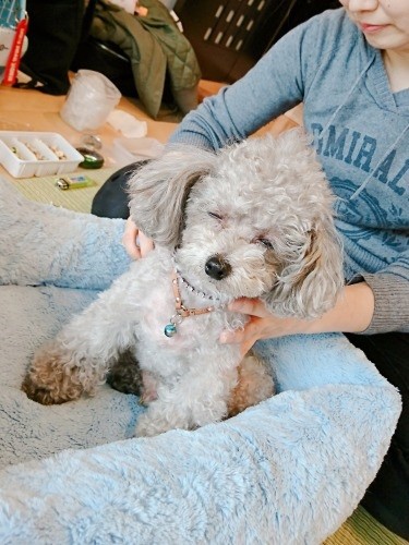 「あっ、そこ、先生きもちいいよ」　（りえさん提供）