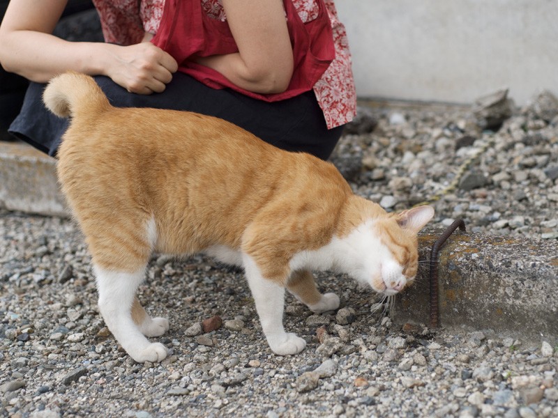 「これ僕の縁石。車は持ってないけど」（小林写函撮影）