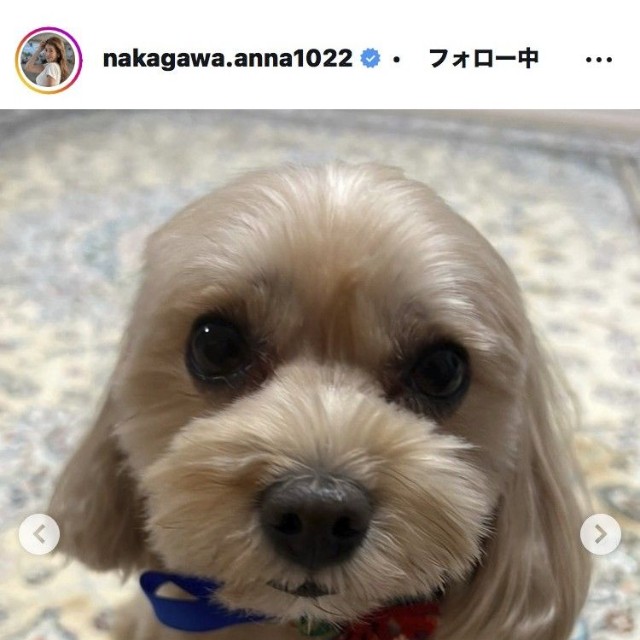 中川安奈アナウンサーのインスタグラム＠nakagawa.anna1022より