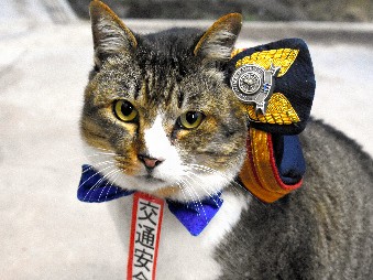 年末を無事故で！ 猫の「りょうま」駅長が交通安全をＰＲ