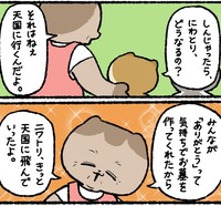 死んでしまったニワトリはどうなるの？（ゆうさん提供）