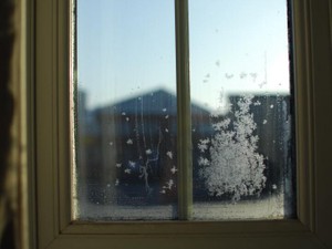 仕事を辞めて私の世界のすべてになった６畳の部屋に、雪が降った