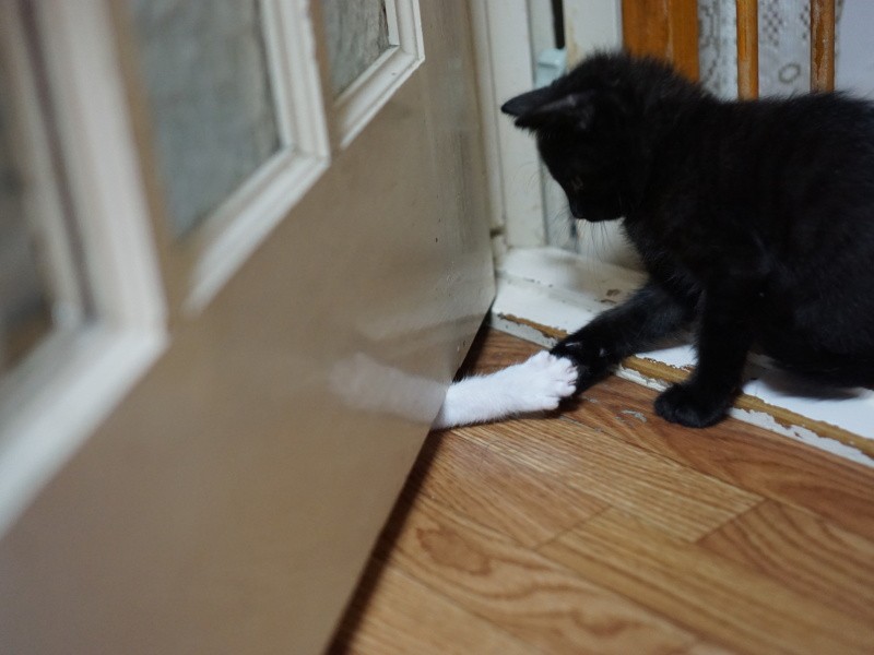 ドア越しのタッチ