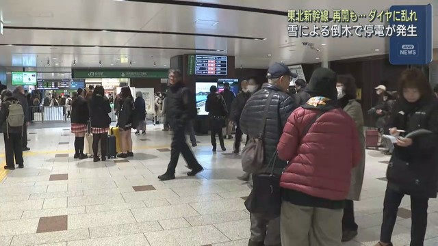 東北新幹線　雪の影響で倒木し停電　一時運転見合わせ　ダイヤ大幅に乱れる