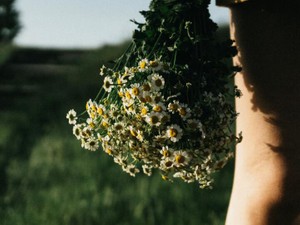 就活を前に。自分に素直に、相手の反応にとらわれずに伝えるために