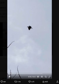 前澤友作氏のX(旧ツイッター)＠yousuck2020より