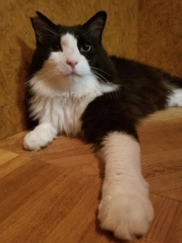 「それな、俺も思う」